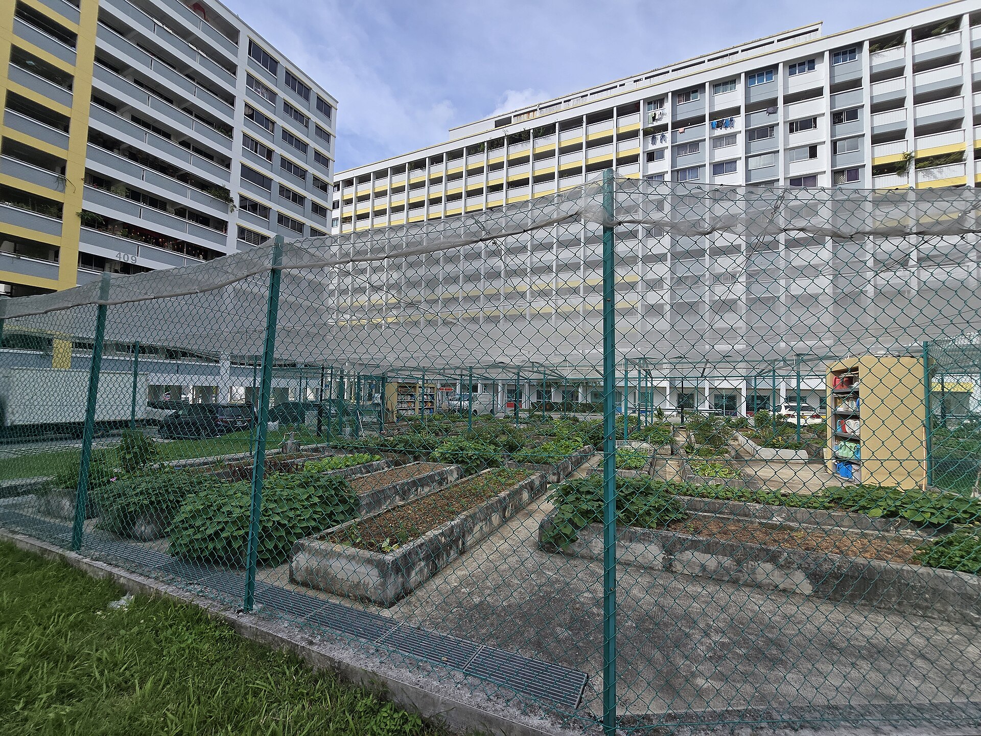 Raised-bed community garden at Fajar
